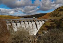 Gdzie znaleźć dobrego coacha? Gdzie znaleźć dobrego coacha?