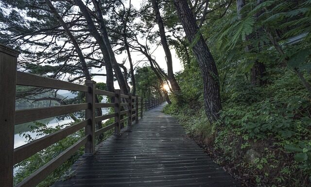 Jakie są darmowe kursy online?