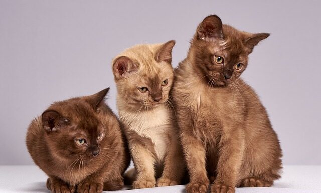 Jak napisać że jestem zainteresowany ofertą pracy?