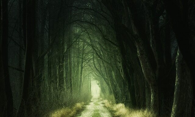 Ile czasu zajmuje przejście z B2 na C1? Ile czasu zajmuje przejście z B2 na C1?