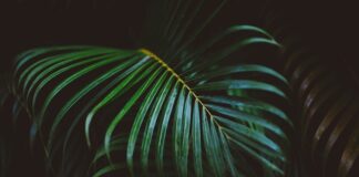 Czego nie pisać w liście motywacyjnym? Czego nie pisać w liście motywacyjnym?