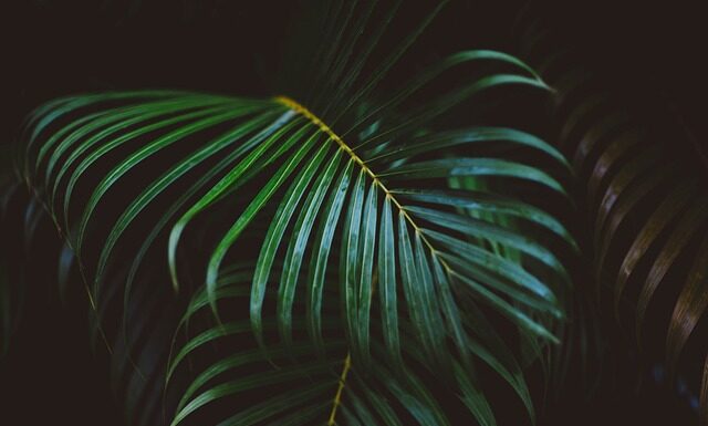 Czego nie pisać w liście motywacyjnym?