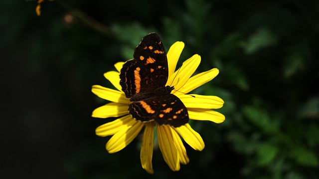 Co to jest sektor 3?