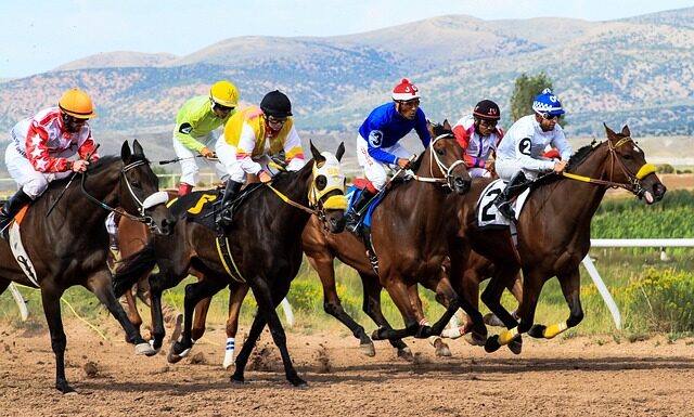 Jakie są zakłady budżetowe? Jakie są zakłady budżetowe?