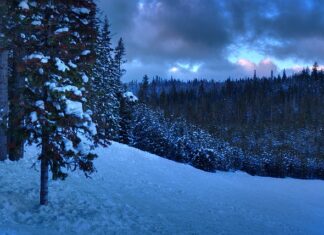 Co jest ważniejsze licencjat czy magister?