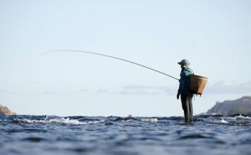 Co zalicza się do środków publicznych?