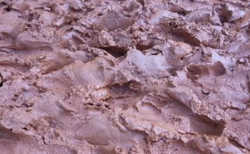 Która z podstaw ustalania budżetu promocji jest najbardziej uzasadniona?