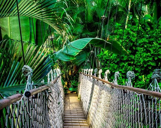 Gdzie najlepiej robić kursy online?