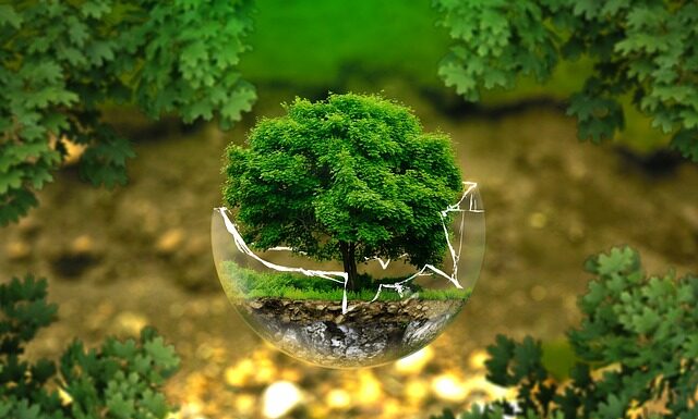 Kto jest zobowiązany do ochrony danych osobowych?