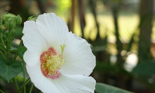 Co chwilę zmieniam pracę? Co chwilę zmieniam pracę?