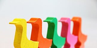 W jakiej kolejności CV?