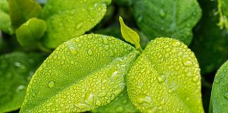 Jak być eko na co dzień? Jak być eko na co dzień?