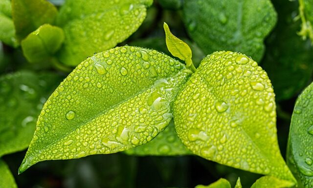 Jak być eko na co dzień? Jak być eko na co dzień?